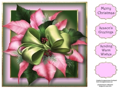 Pink Poinsettia 8x8