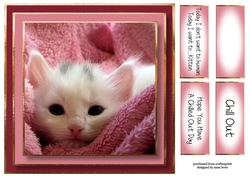 Today...I Want To Kitten 8x8