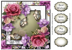 Belle Roses & Flutters 8x8