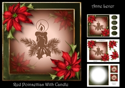 Red Poinsettias With Candle