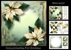 Ivory Poinsettias For Christmas