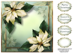Ivory Poinsettias For Christmas 8x8
