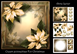 Cream Poinsettias For Christmas