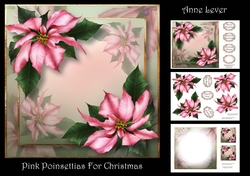 Pink Poinsettias For Christmas