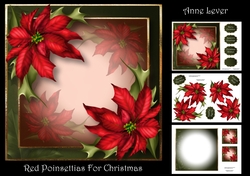 Red Poinsettias For Christmas