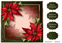 Red Poinsettias For Christmas 8x8