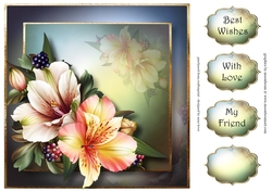 Pretty Peruvian Lily 8x8