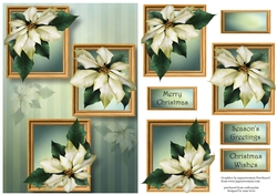Frame Trio Christmas - White Poinsettias