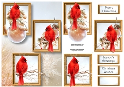 Frame Trio Christmas - Red Cardinal Delight