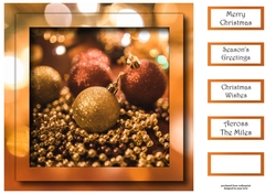 Copper & Gold