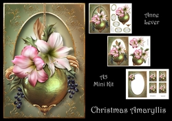 Christmas Amaryllis