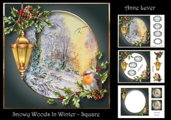 Snowy Woods In Winter - Square