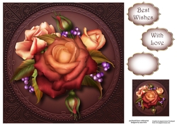 Gorgeous Autumn Blush Roses 8x8