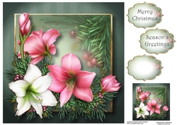 Vintage Christmas Amaryllis 8x8