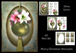 Merry Christmas Amaryllis