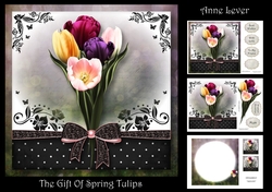 The Gift Of Spring Tulips
