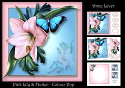 Pink Lily & Flutters - Colour Pop