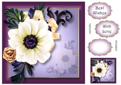 Elegance & Grace 8x8