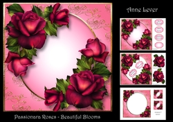 Passionara Roses - Beautiful Blooms