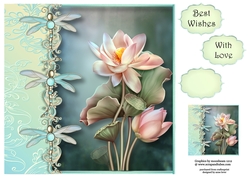 The Dragonfly Lotus Flower 8x8