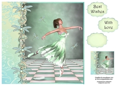 The Dragonfly Ballerina 8x8