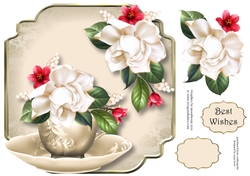Teacup & Saucer - Gorgeous Gardinia