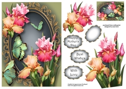Beautiful Blush Iris & Butterflies A5