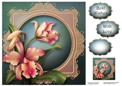 Aloha Orchids 8x8