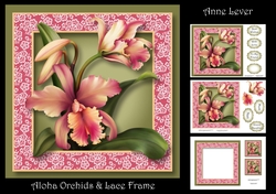 Aloha Orchids & Lace Frame