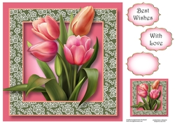 Tulips & Lace Frame 8x8
