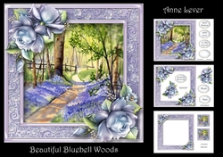 Beautiful Bluebell Woods