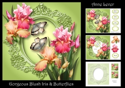 Gorgeous Blush Iris & Butterflies