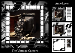 The Vintage Camera
