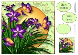 Lilies & Flutters