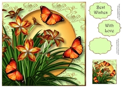 Orange Lilies & Flutters