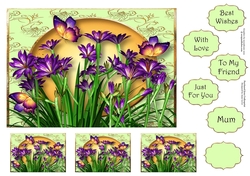 Purple Lilies & Flutters A5