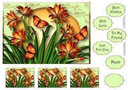 Orange Lilies & Flutters A5