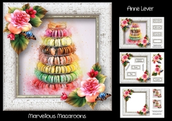 Marvellous Macaroons