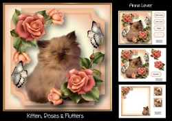 Kitten, Roses & Flutters