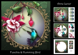 Fuschia & Humming Bird