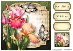 Sheet Music Plaque - Blush Iris 8x8