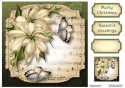 Sheet Music Christmas - Ivory Poinsettias 8x8