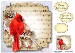 Sheet Music Christmas - Red Cardinal 8x8