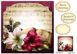 Sheet Music Christmas - Amaryllis & Book 8x8