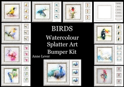 Watercolour Splatter Art - BIRDS - Exclusive Bumper Kit