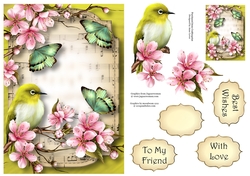 Sheet Music & Butterflies - Cherry Blossom A5
