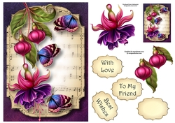 Sheet Music & Butterflies - Fuschias A5