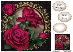 The Warm Roses 8x8