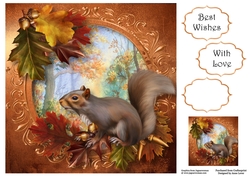 The Autumn Squirrel 8x8