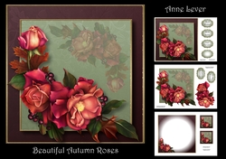 Beautiful Autumn Roses